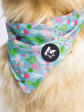 Dog Bandana - Mushroom Dream